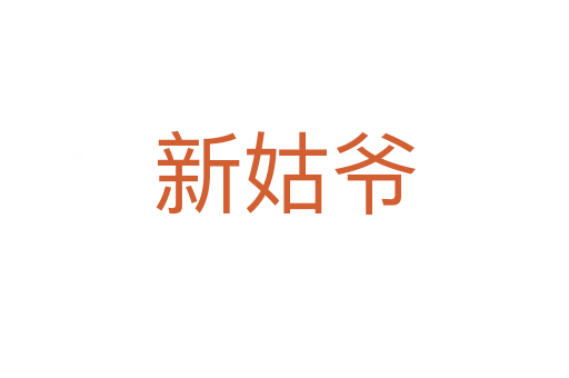 新姑爷