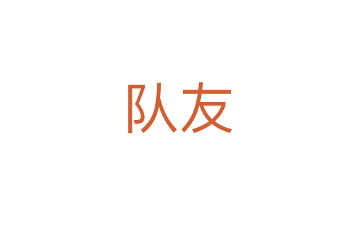 队友