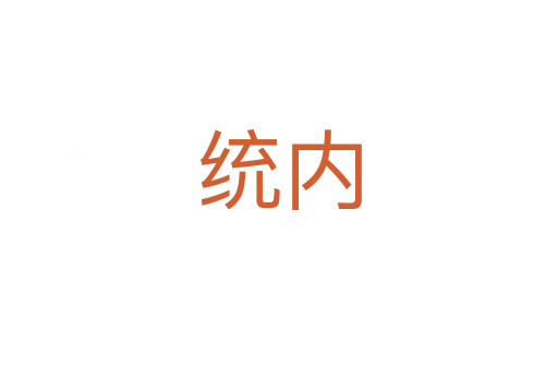 统内
