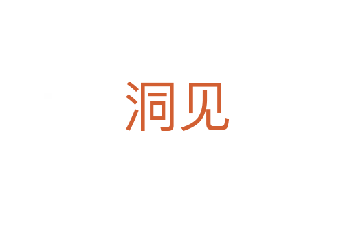 洞见