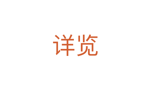 详览