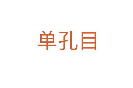 单孔目