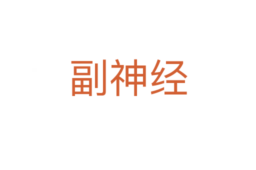 副神经