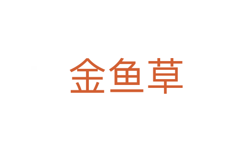 金鱼草