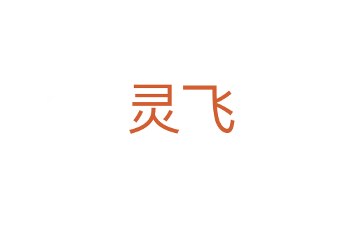 灵飞