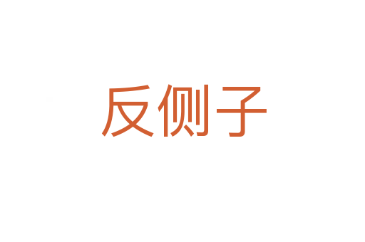 反侧子