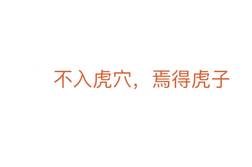 不入虎穴,焉得虎子