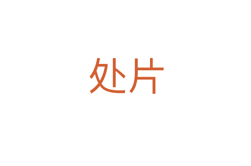 处片