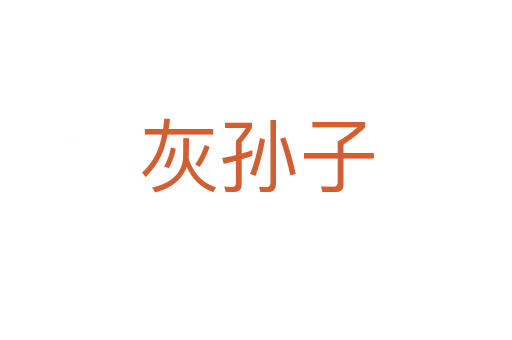 灰孙子
