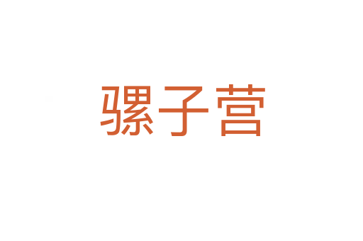 骡子营