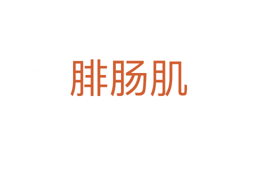 腓肠肌
