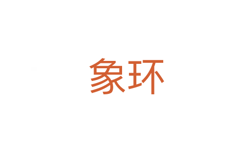 象环