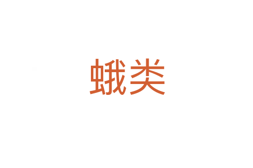 蛾类