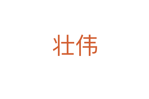 壮伟